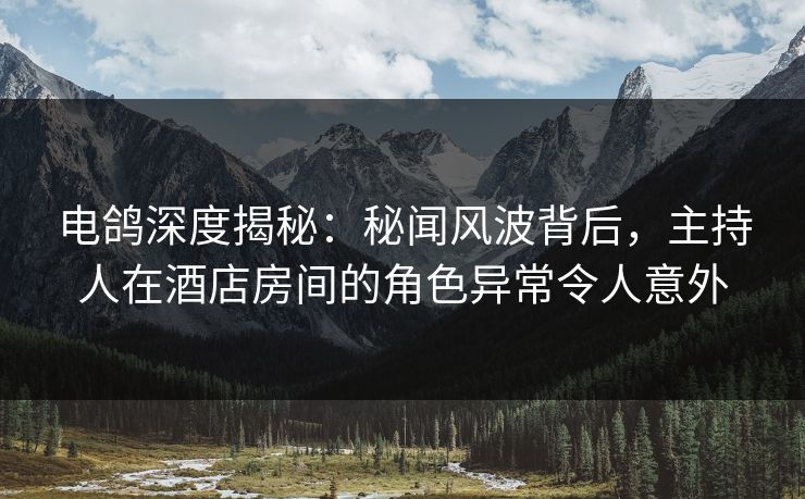 电鸽深度揭秘：秘闻风波背后，主持人在酒店房间的角色异常令人意外
