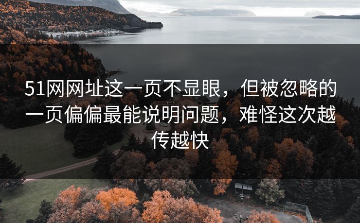 51网网址这一页不显眼，但被忽略的一页偏偏最能说明问题，难怪这次越传越快