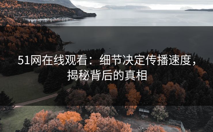 51网在线观看：细节决定传播速度，揭秘背后的真相